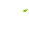 Belive